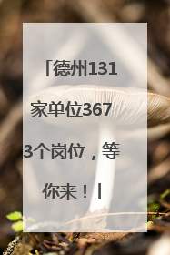 德州131家单位3673个岗位，等你来！