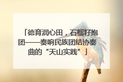 德育润心田，石榴籽抱团——奏响民族团结协奏曲的“天山实践”