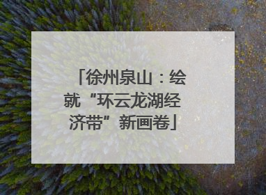 徐州泉山：绘就“环云龙湖经济带”新画卷