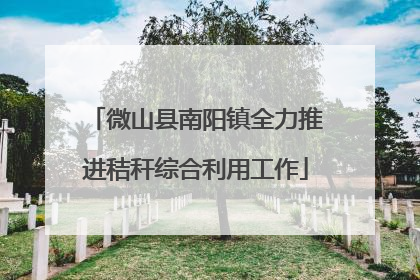 微山县南阳镇全力推进秸秆综合利用工作