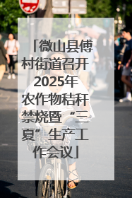 微山县傅村街道召开2025年农作物秸秆禁烧暨“三夏”生产工作会议