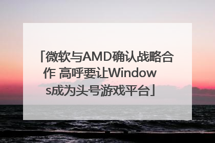 微软与AMD确认战略合作 高呼要让Windows成为头号游戏平台