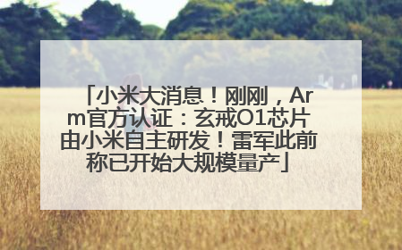 小米大消息！刚刚，Arm官方认证：玄戒O1芯片由小米自主研发！雷军此前称已开始大规模量产