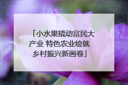 小水果撬动富民大产业 特色农业绘就乡村振兴新画卷
