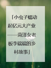 小虫子蠕动起亿元大产业——菏泽女老板李端端的乡村故事