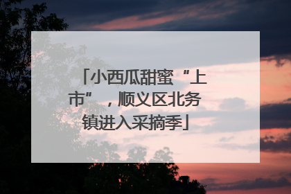 小西瓜甜蜜“上市”，顺义区北务镇进入采摘季
