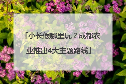 小长假哪里玩？成都农业推出4大主题路线