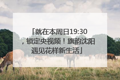 就在本周日19:30，锁定央视频！旗韵沈阳 遇见花样新生活