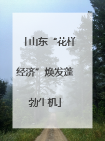 山东“花样经济”焕发蓬勃生机