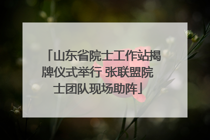 山东省院士工作站揭牌仪式举行 张联盟院士团队现场助阵