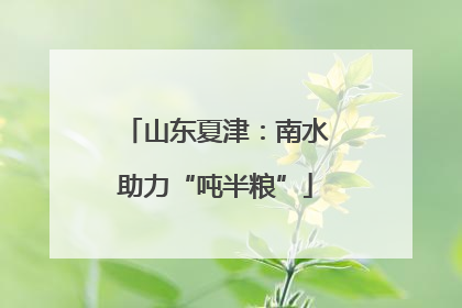 山东夏津：南水助力“吨半粮”