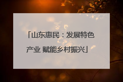 山东惠民：发展特色产业 赋能乡村振兴