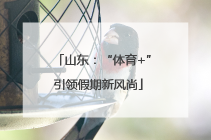 山东：“体育+”引领假期新风尚