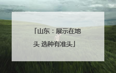 山东：展示在地头 选种有准头
