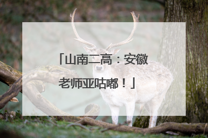 山南二高：安徽老师亚咕嘟！