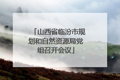 山西省临汾市规划和自然资源局党组召开会议