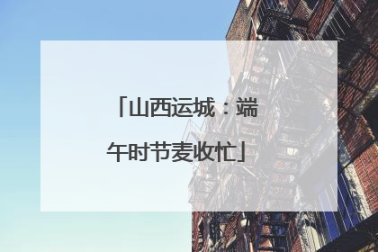 山西运城：端午时节麦收忙