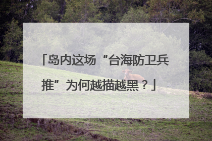岛内这场“台海防卫兵推”为何越描越黑？