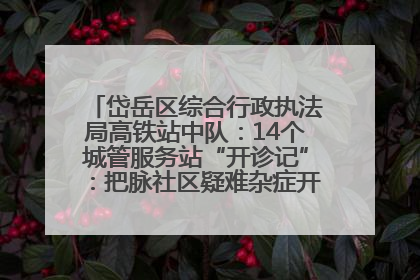 岱岳区综合行政执法局高铁站中队：14个城管服务站“开诊记”：把脉社区疑难杂症开出治理良方