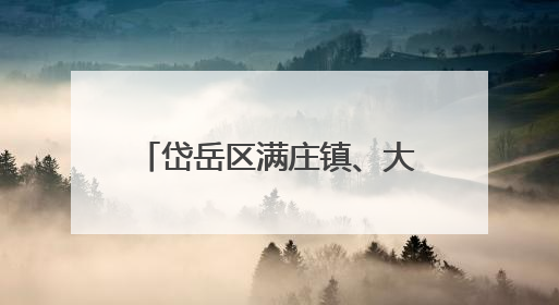 岱岳区满庄镇、大汶口工业园：完善制度、贴心护航、强化监管，打造优质营商“强磁场”