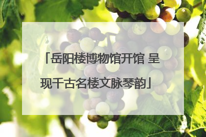 岳阳楼博物馆开馆 呈现千古名楼文脉琴韵
