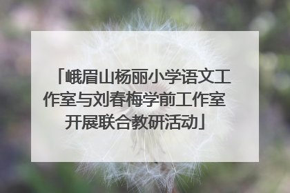 峨眉山杨丽小学语文工作室与刘春梅学前工作室开展联合教研活动