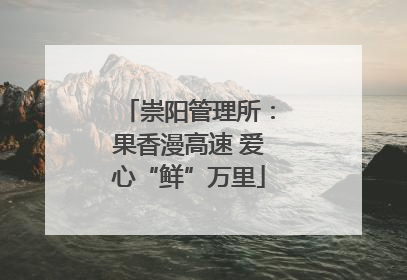 崇阳管理所：果香漫高速 爱心“鲜”万里