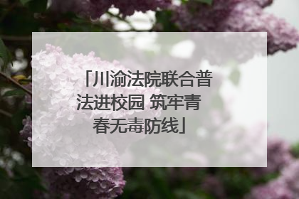 川渝法院联合普法进校园 筑牢青春无毒防线