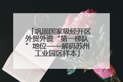 巩固国家级经开区外贸外资“第一梯队”地位——解码苏州工业园区样本