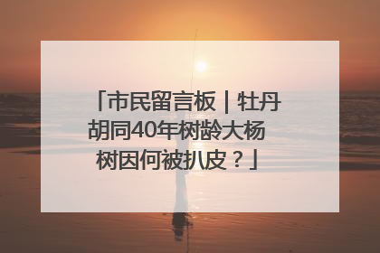 市民留言板｜牡丹胡同40年树龄大杨树因何被扒皮？