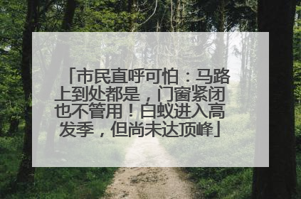 市民直呼可怕：马路上到处都是，门窗紧闭也不管用！白蚁进入高发季，但尚未达顶峰
