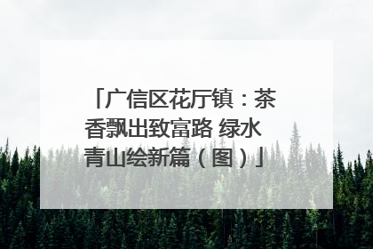 广信区花厅镇：茶香飘出致富路 绿水青山绘新篇（图）
