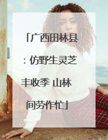 广西田林县：仿野生灵芝丰收季 山林间劳作忙