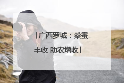 广西罗城：桑蚕丰收 助农增收