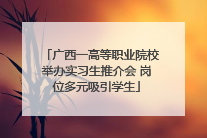 广西一高等职业院校举办实习生推介会 岗位多元吸引学生
