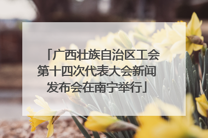 广西壮族自治区工会第十四次代表大会新闻发布会在南宁举行