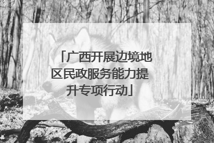 广西开展边境地区民政服务能力提升专项行动