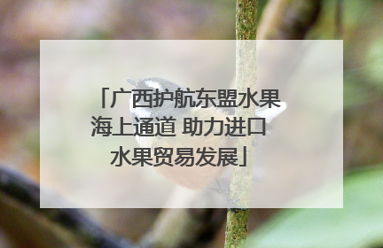 广西护航东盟水果海上通道 助力进口水果贸易发展