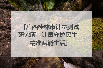 广西桂林市计量测试研究所：计量守护民生 精准赋能生活