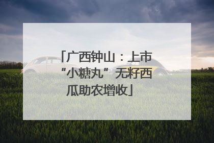 广西钟山：上市“小糖丸”无籽西瓜助农增收