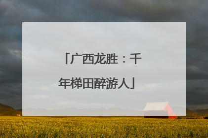 广西龙胜：千年梯田醉游人