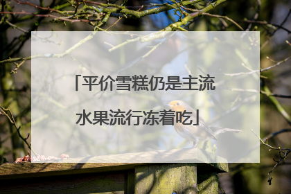 平价雪糕仍是主流 水果流行冻着吃