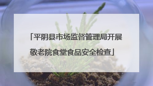 平阴县市场监督管理局开展敬老院食堂食品安全检查