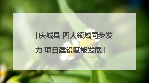 庆城县 四大领域同步发力 项目建设赋能发展