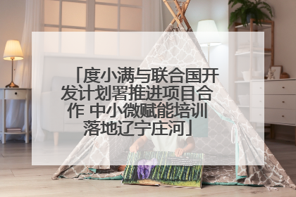 度小满与联合国开发计划署推进项目合作 中小微赋能培训落地辽宁庄河