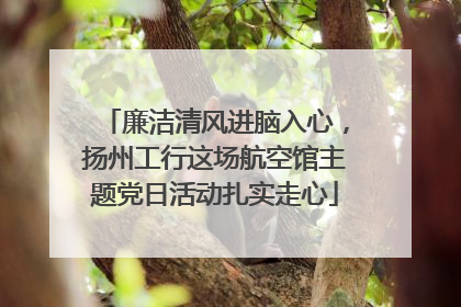 廉洁清风进脑入心，扬州工行这场航空馆主题党日活动扎实走心