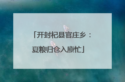 开封杞县官庄乡：夏粮归仓入廪忙