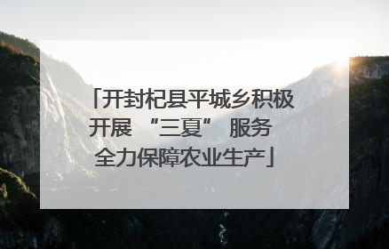 开封杞县平城乡积极开展 “三夏” 服务 全力保障农业生产