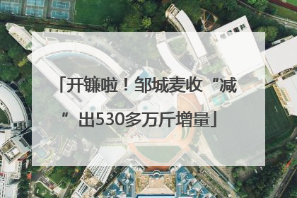 开镰啦！邹城麦收“减”出530多万斤增量