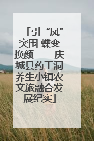 引“凤”突围 蝶变换颜——庆城县药王洞养生小镇农文旅融合发展纪实